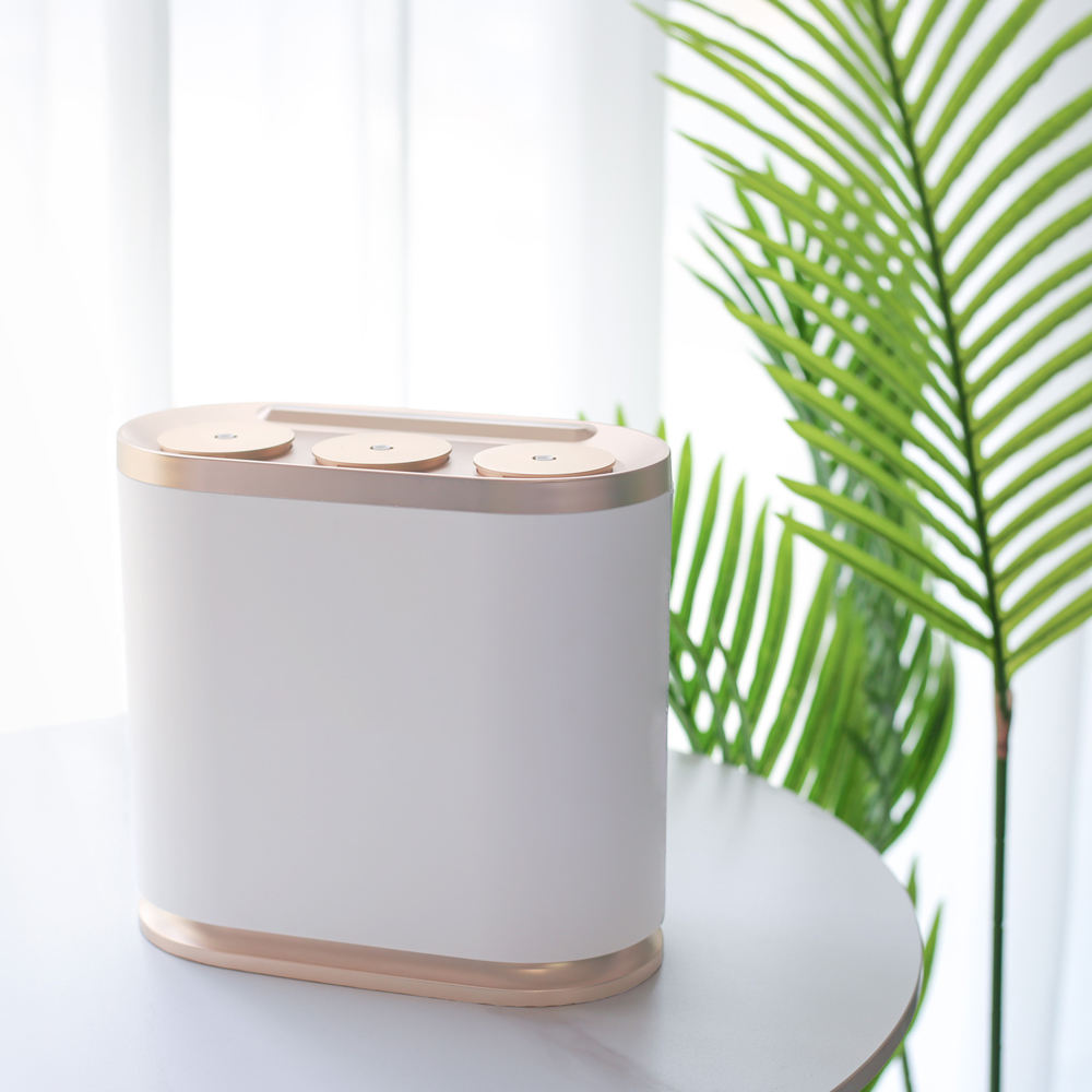 Smart Home Market - Custom Private Label Scent Marketing Home