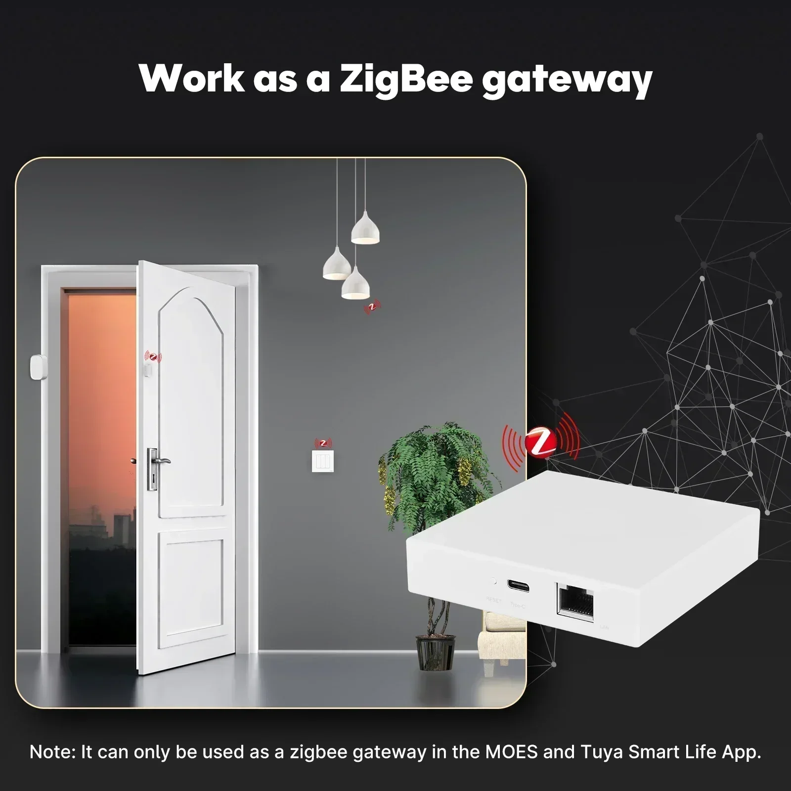 MOES Tuya Zigbee Matter Thread - Smart Home Website review and price