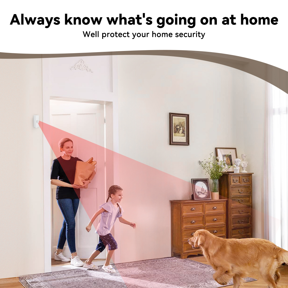 Tuya Smart PIR Motion Sensor S - Smart Home Monitor review and price