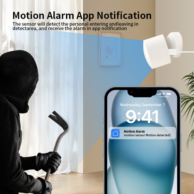 Zigbee or Wi-Fi Human Presence - Smart Home Monitor review and price