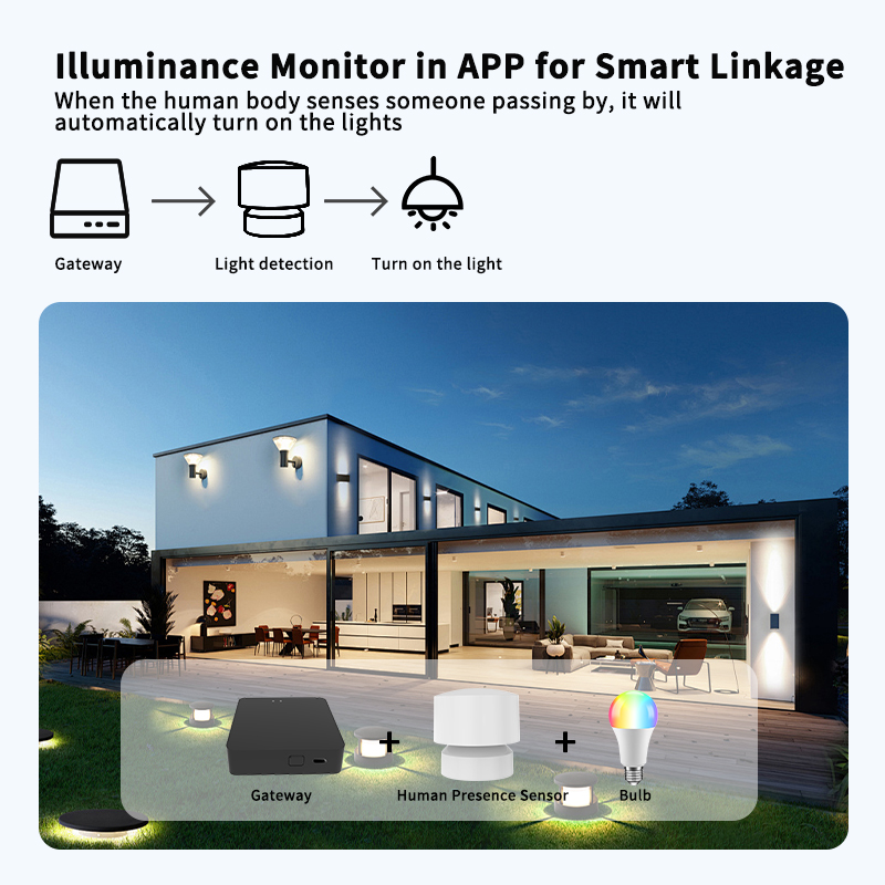 Zigbee or Wi-Fi Human Presence - Smart Home Monitor review and price