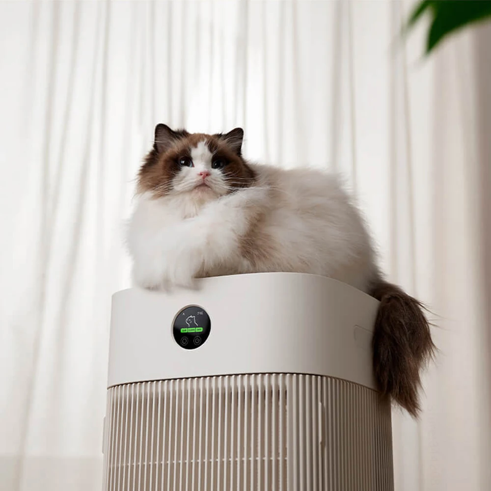 Cats Hair Fast Absorb Dogs Hai - Smart Air Purifier review and price