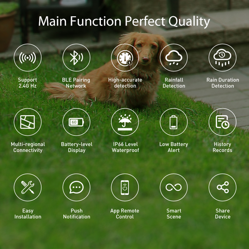 WiFi Rain Sensor Rainfall Dura - Smart Home Iot review and price