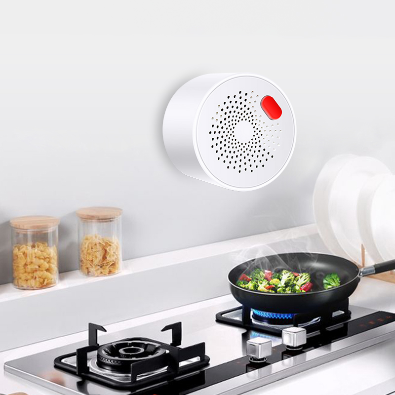 Tuya Smart Home Wifi Natural G - Smart Home Network review and price